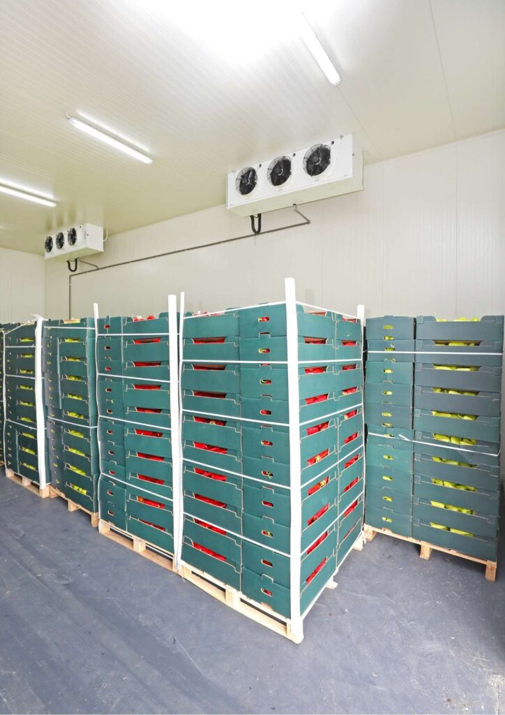 Cold-Storage - Allwarehouses