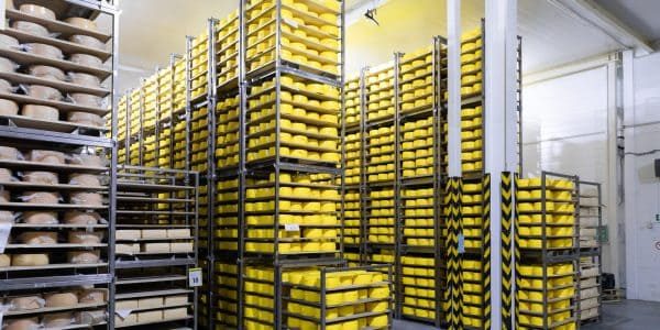Cold storage product categories with ranges for fresh prodiuce meat seafood pharamaceuticals and vaccines in chennai